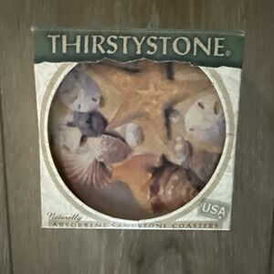 Thirstystone Set of 4 Natural Solid Sandstone Coasters Seashells New in the Box